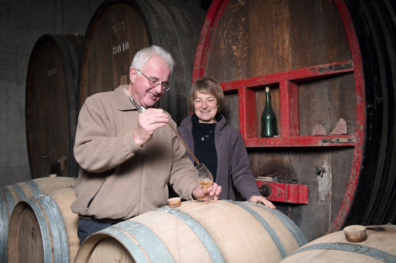 Vins Vigneron Luc et Sylvie BOILLEY – FREMIOT BoilleyFremiot-0002